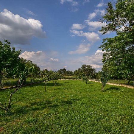 Ankin Dvor Villa Galovac  Exterior foto