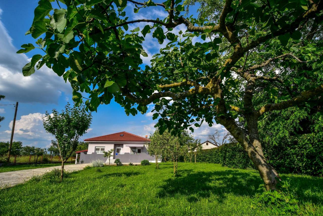 Ankin Dvor Villa Galovac  Exterior foto